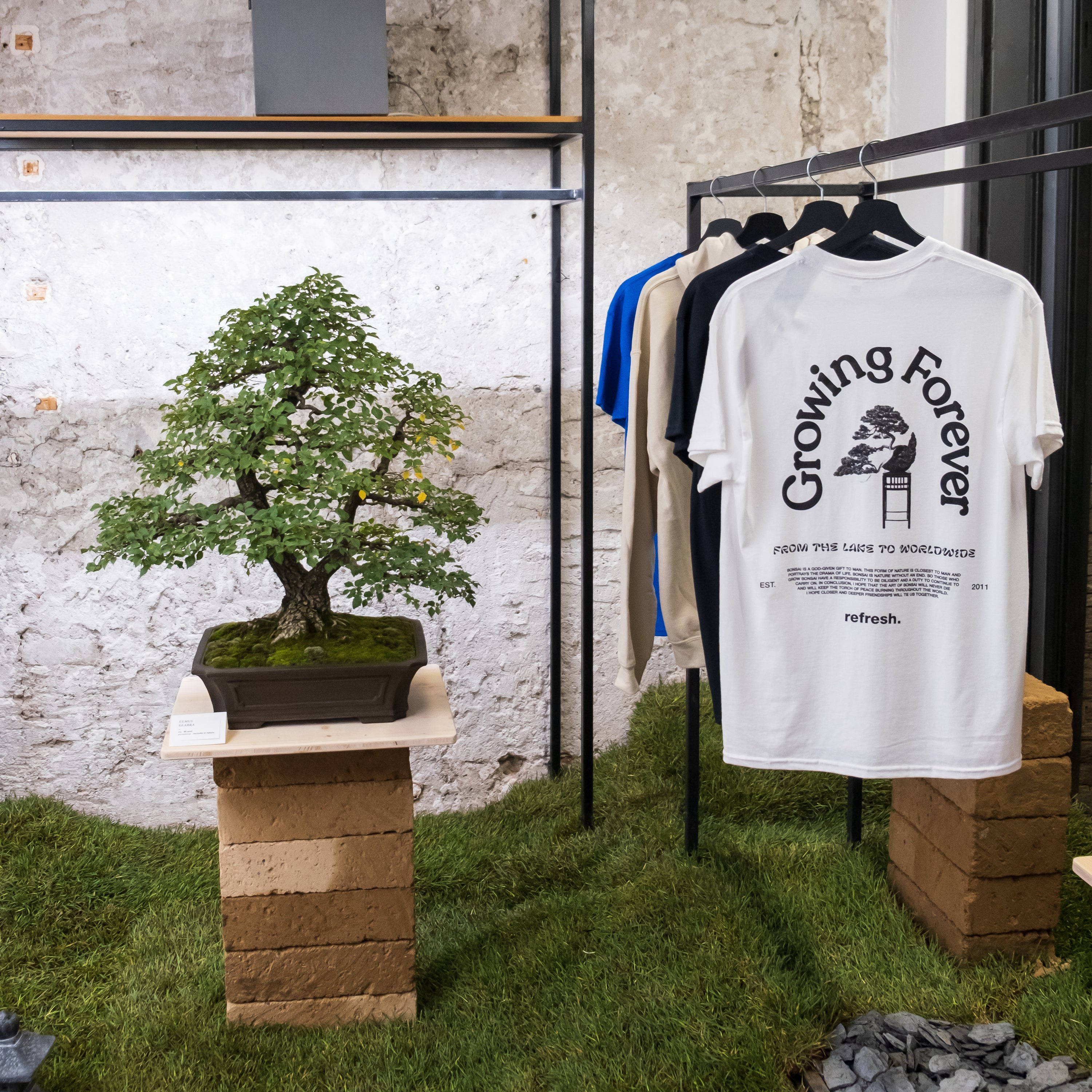 Refresh Bonsai Store