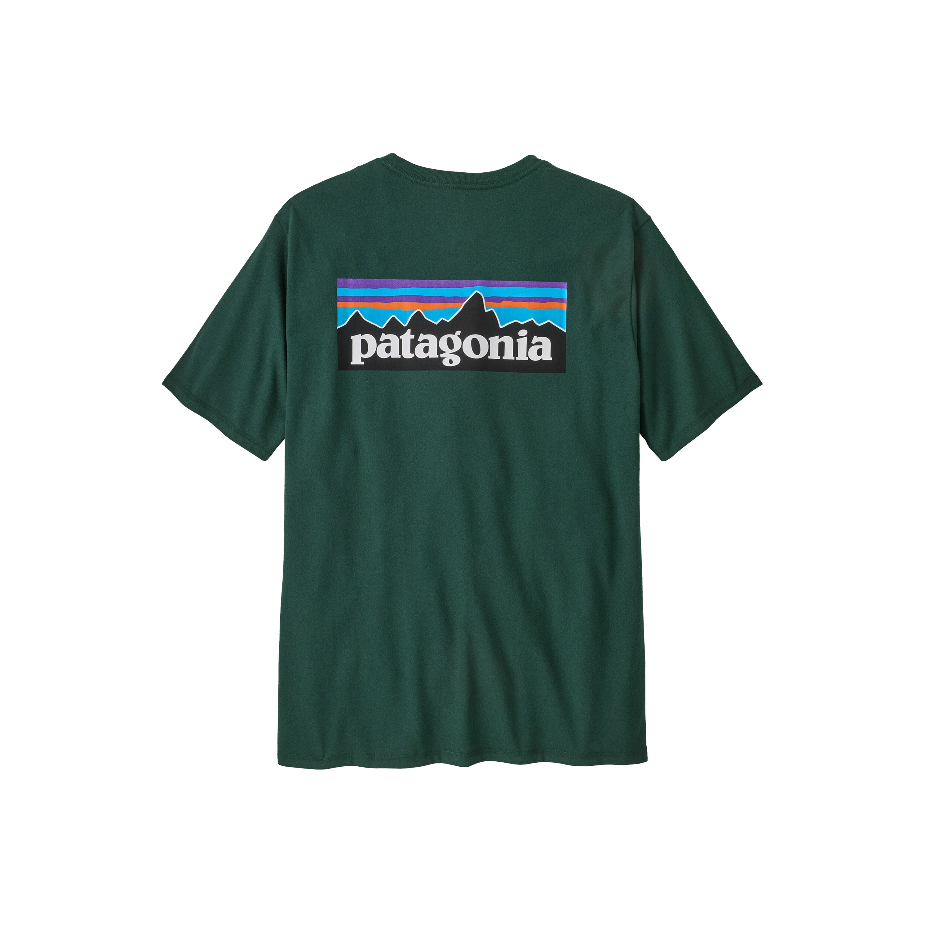 Patagonia Men's P-6 Logo Responsibili-Tee® Cascade Green