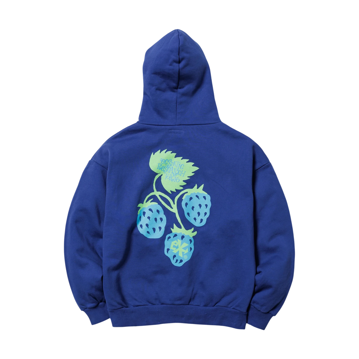 Ecstatic Research Berry Hoodie