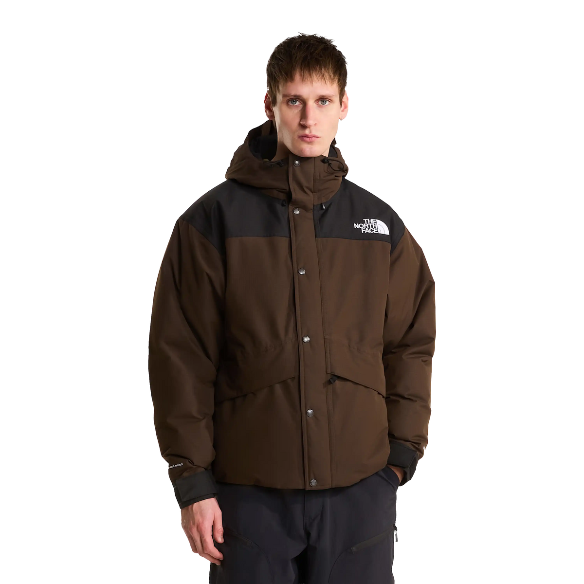 The North Face Mountain Down Jacket
