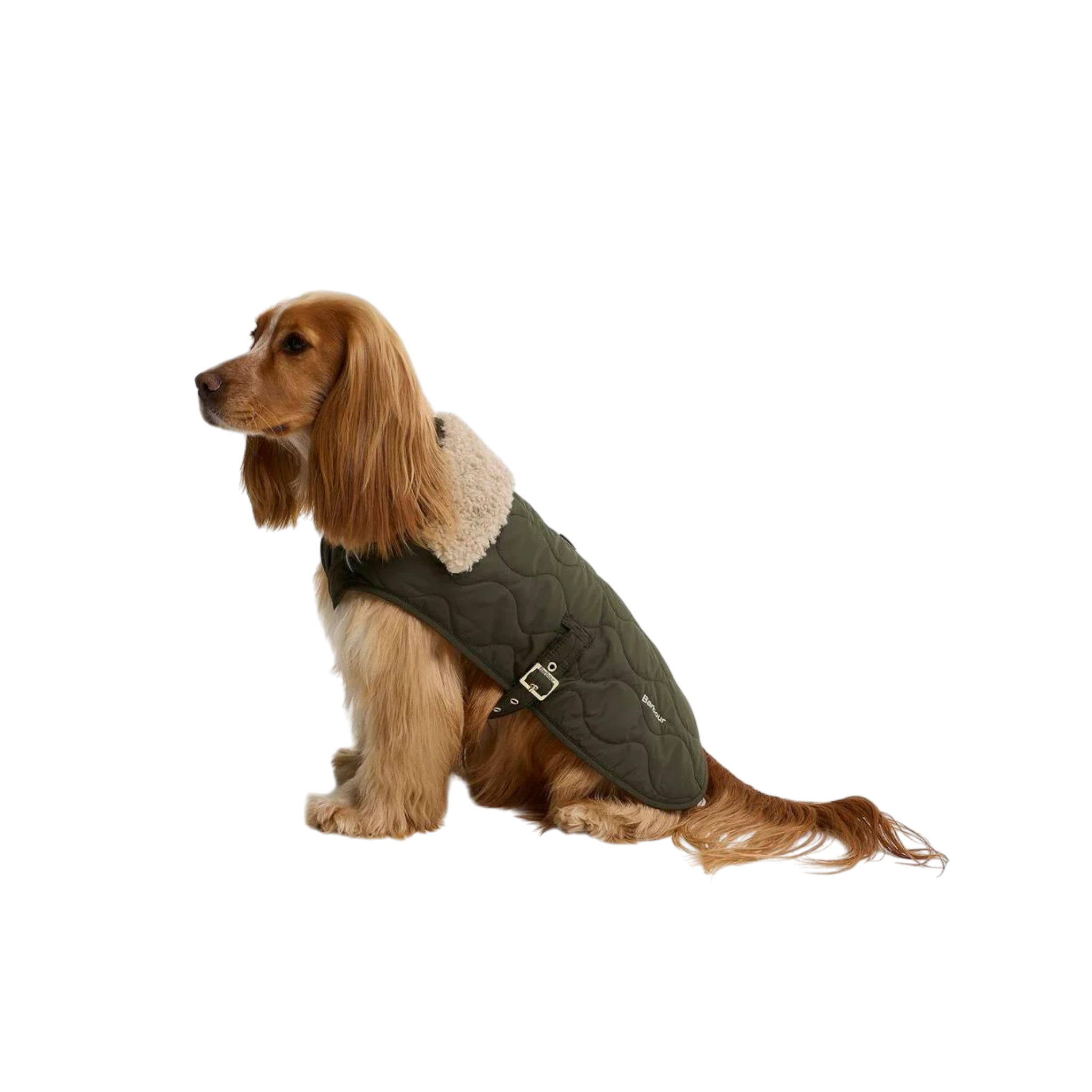 Barbour Beith Quilted Dog Coat