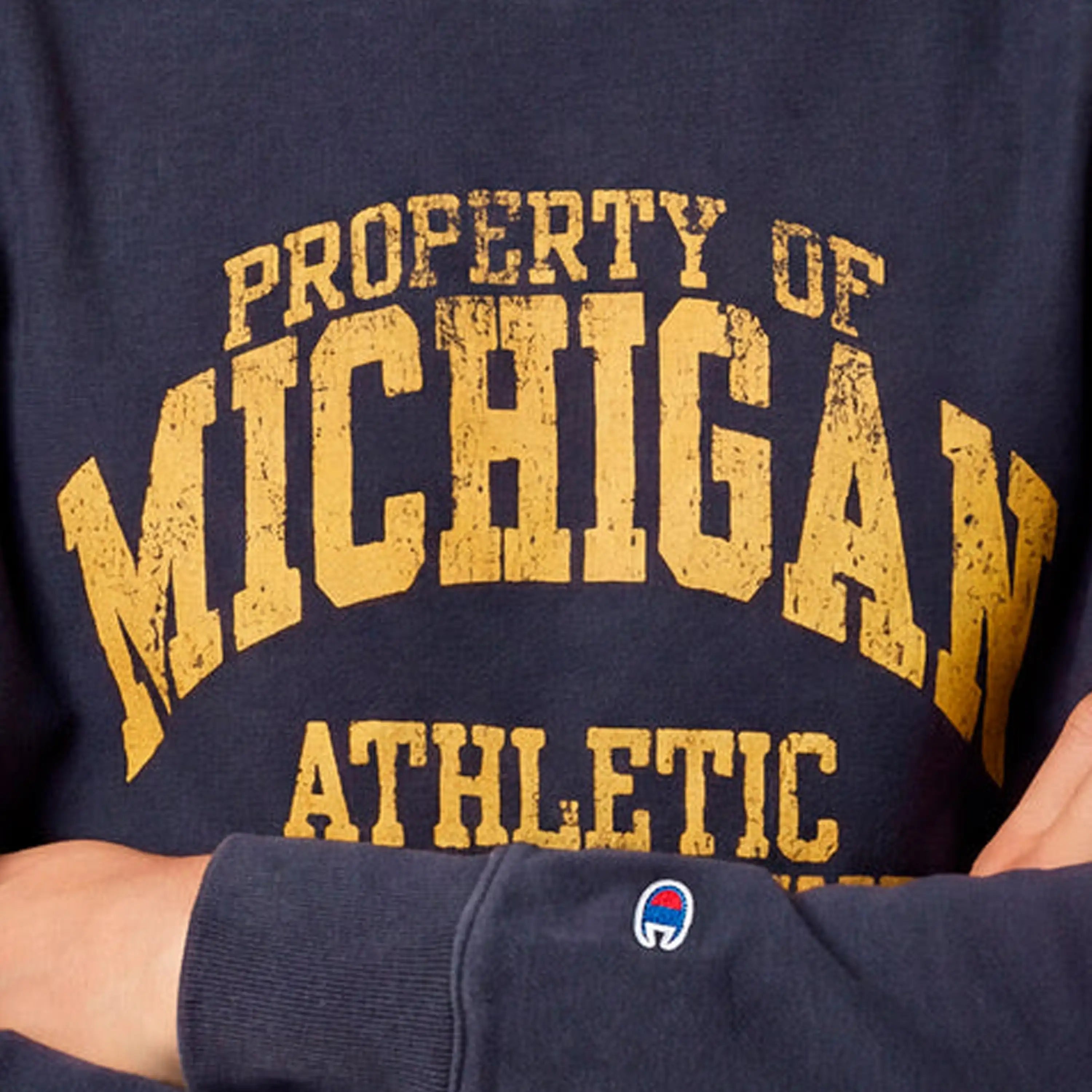 Champion Reverse Weave Michigan Crewneck