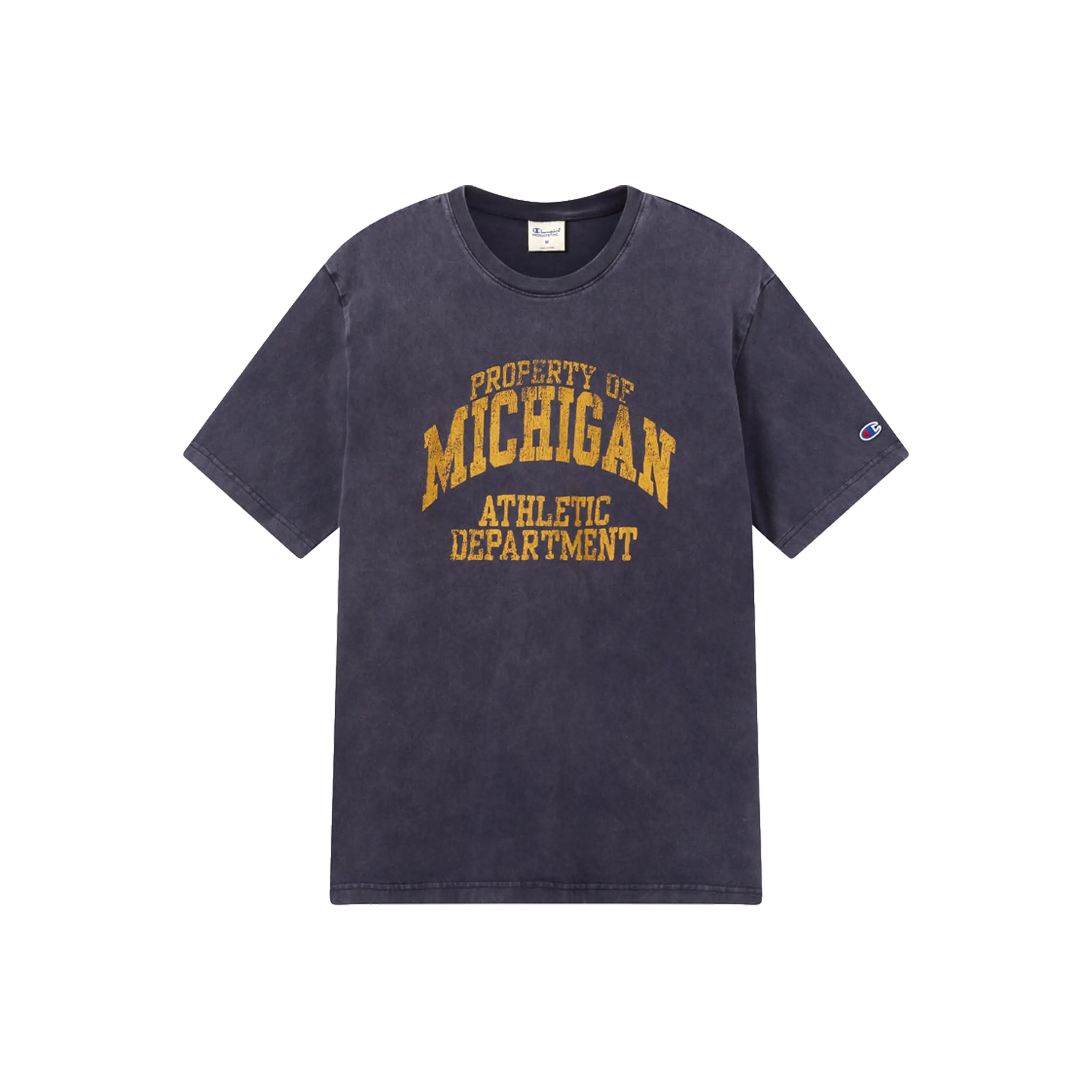 Champion Reverse Weave Michigan T-Shirt