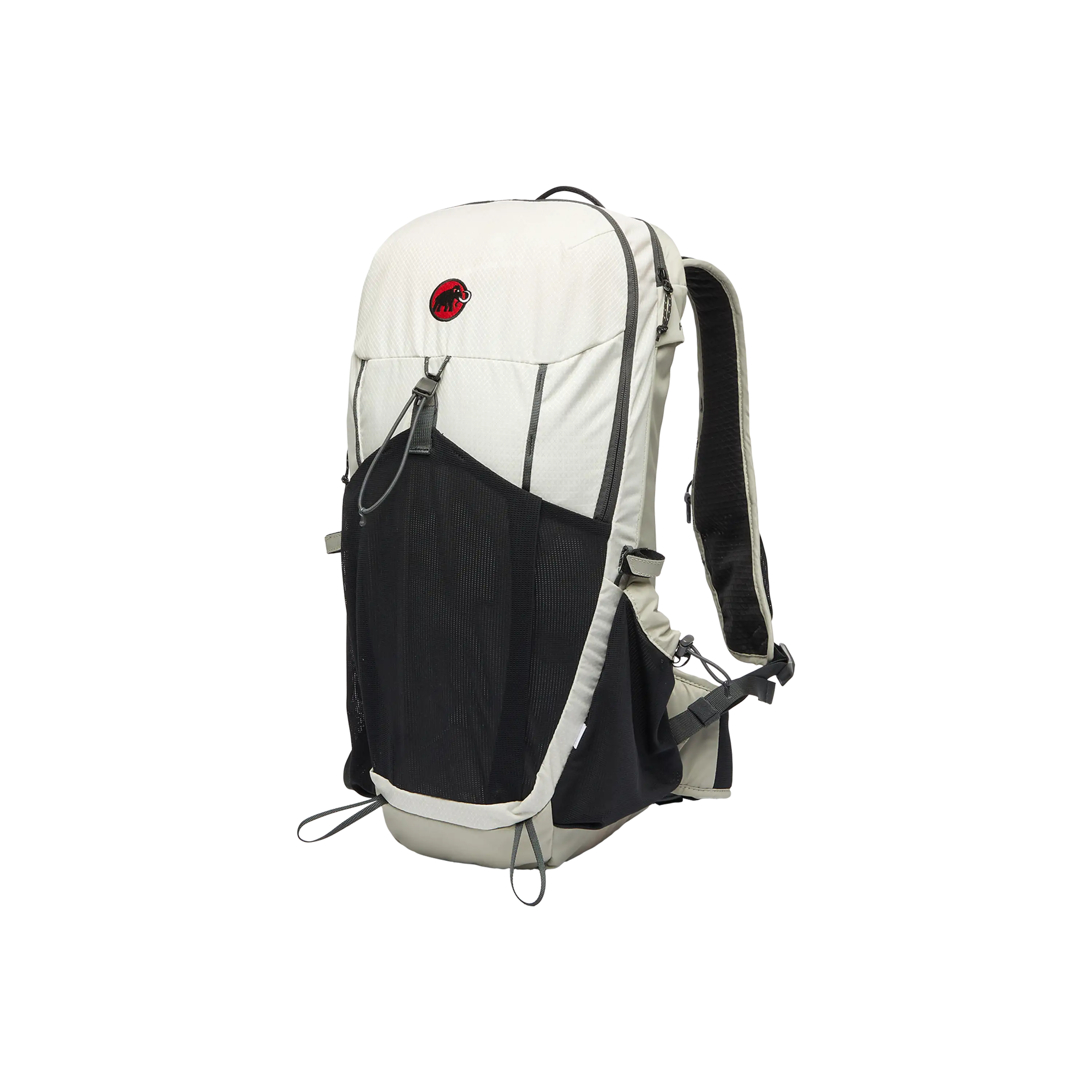 Hiking Patrol x Mammut Ducan 22 Backpack
