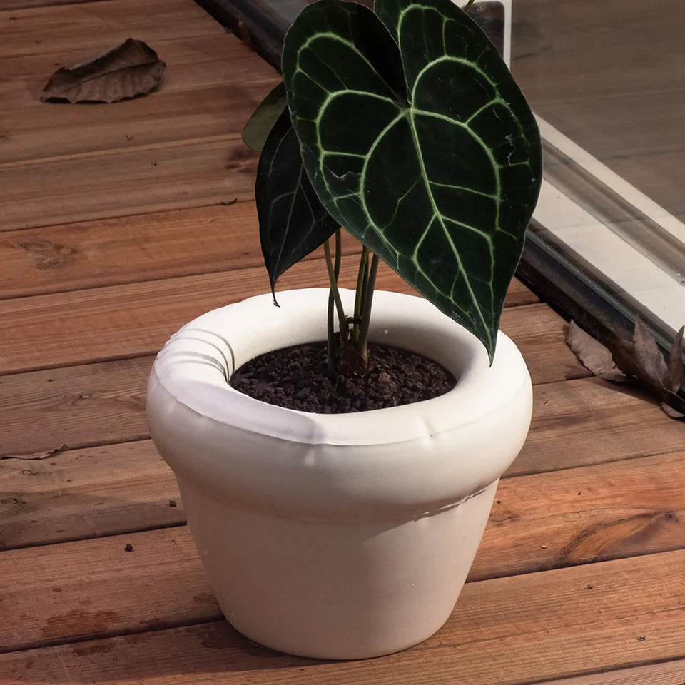 Home Studyo Planter 'PIERRE'