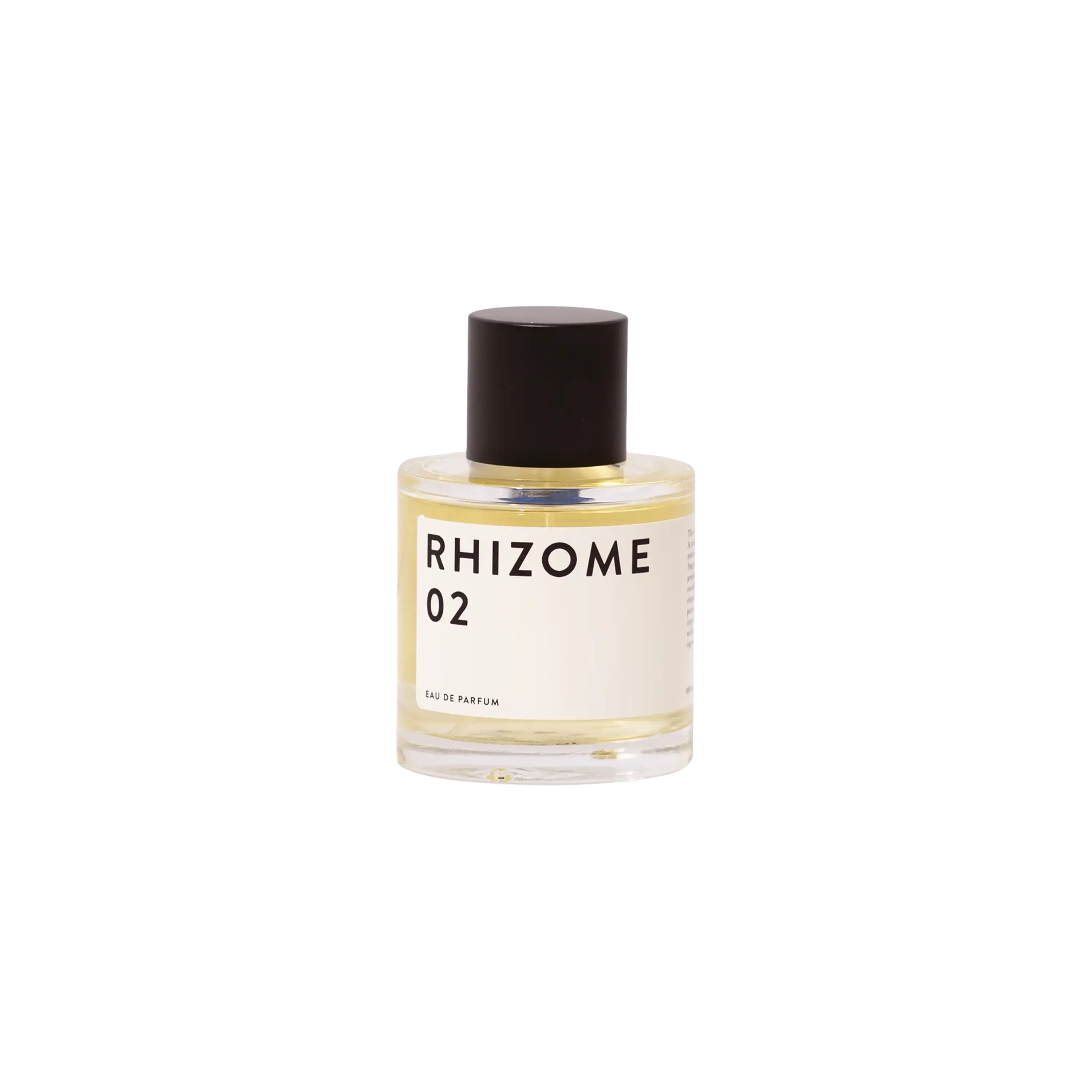 Rhizome 02 EDP