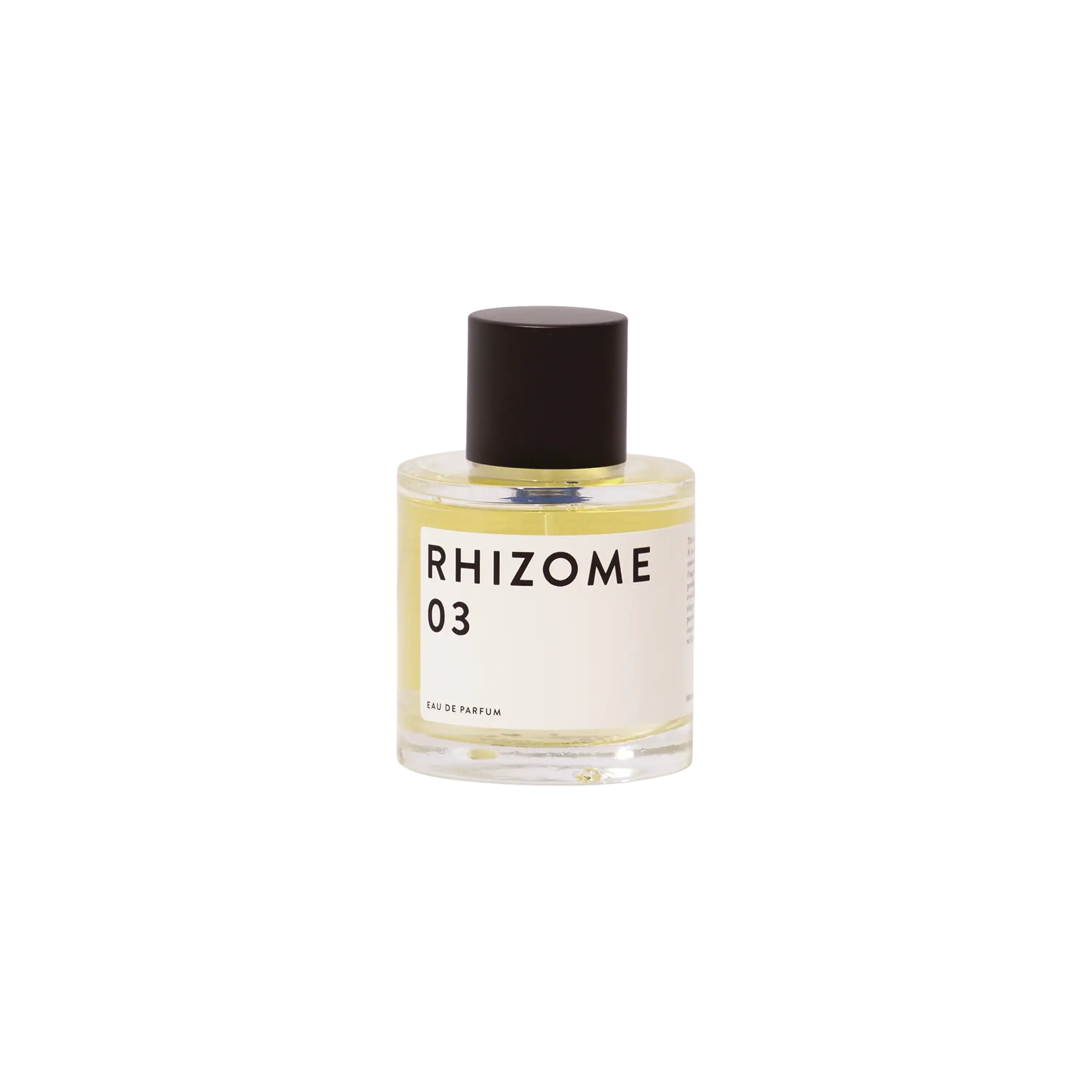 Rhizome 03 EDP