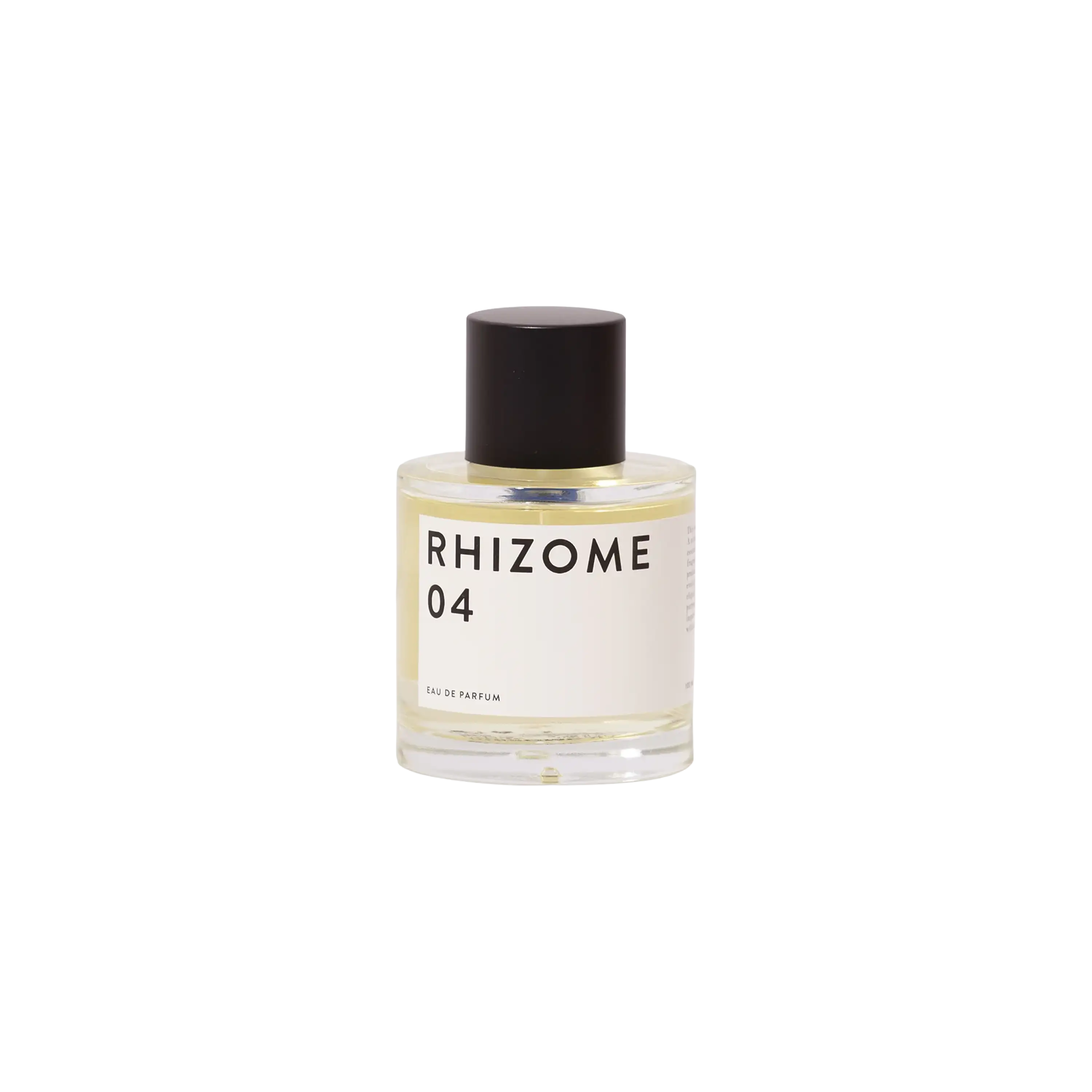 Rhizome 04 EDP