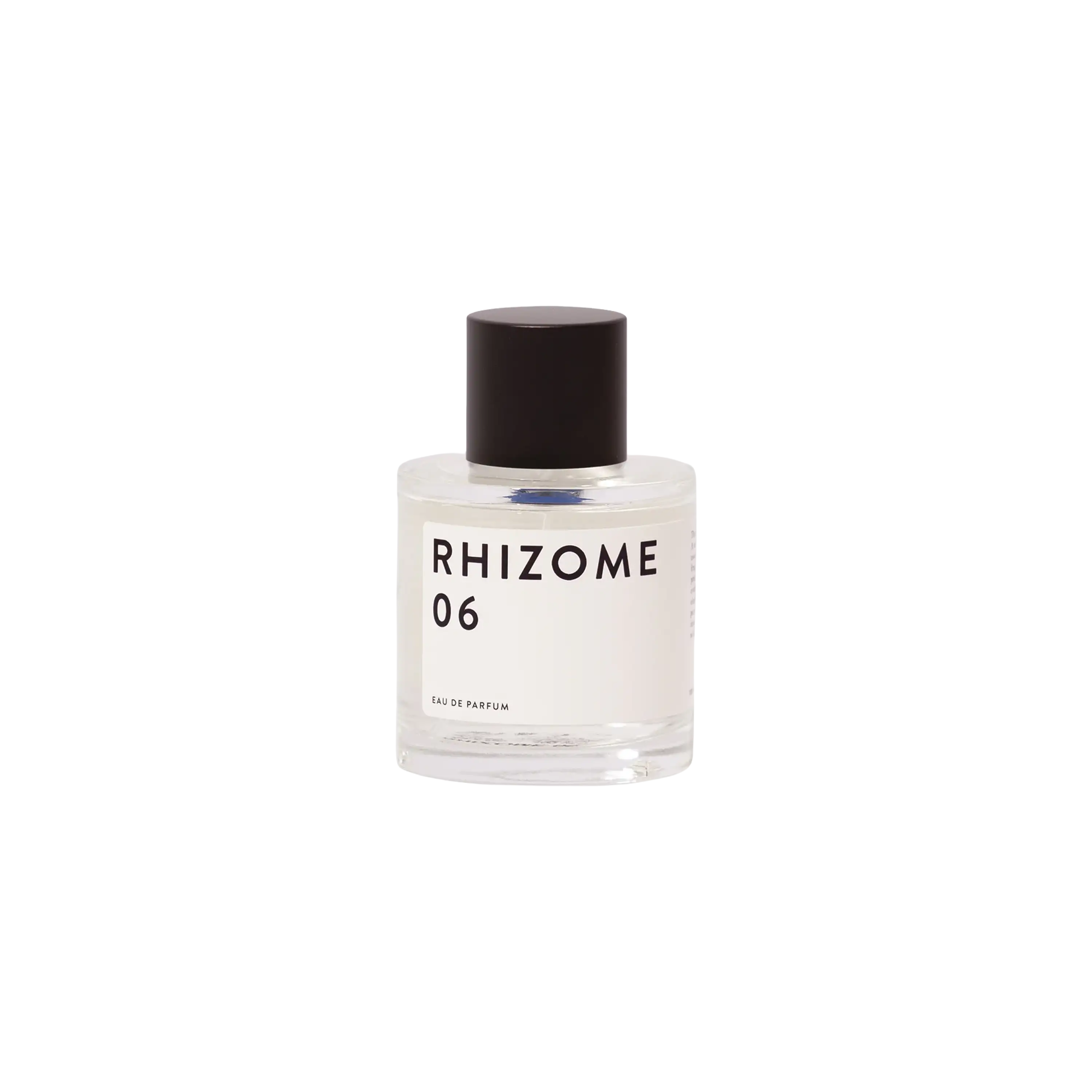 Rhizome 06 EDP