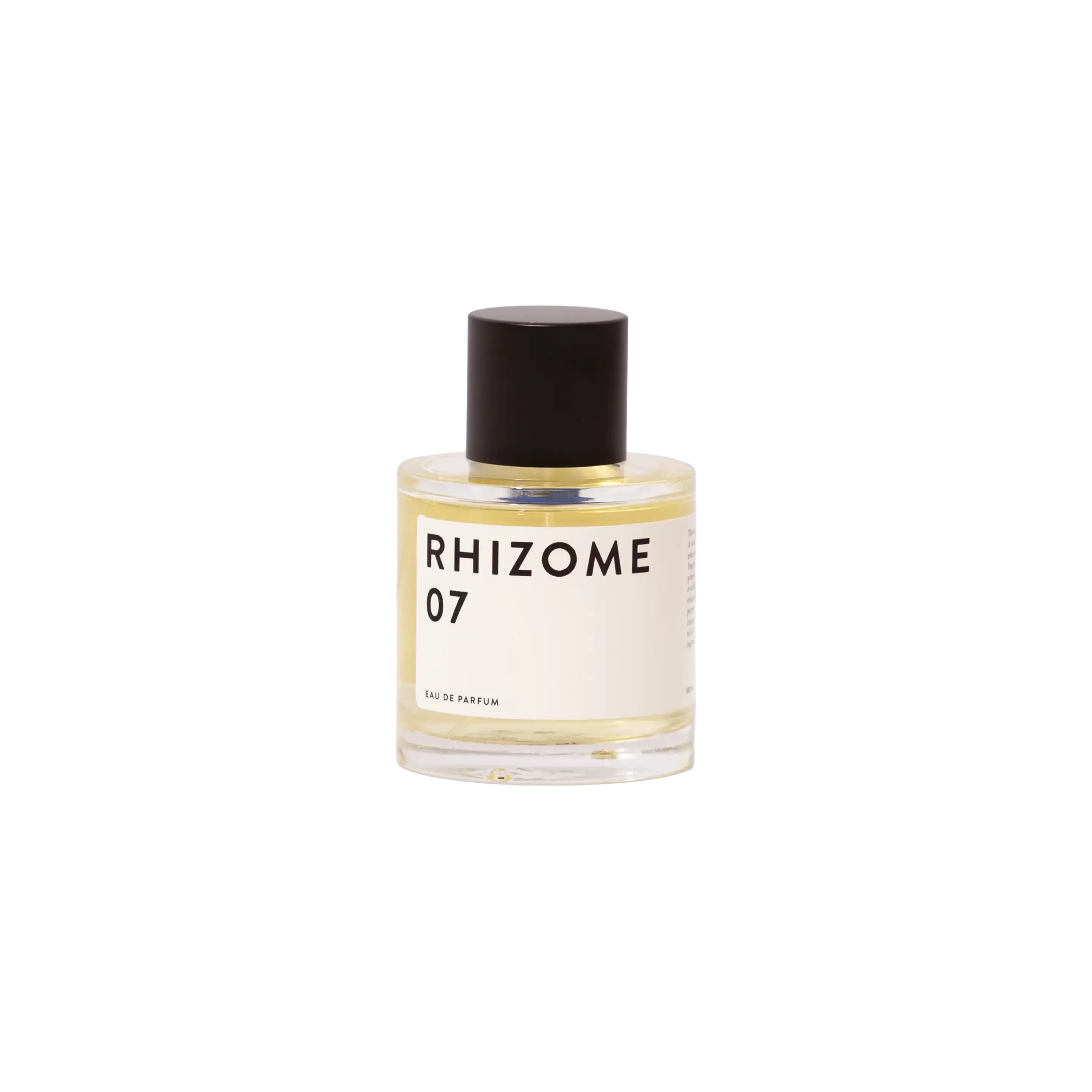 Rhizome 07 EDP