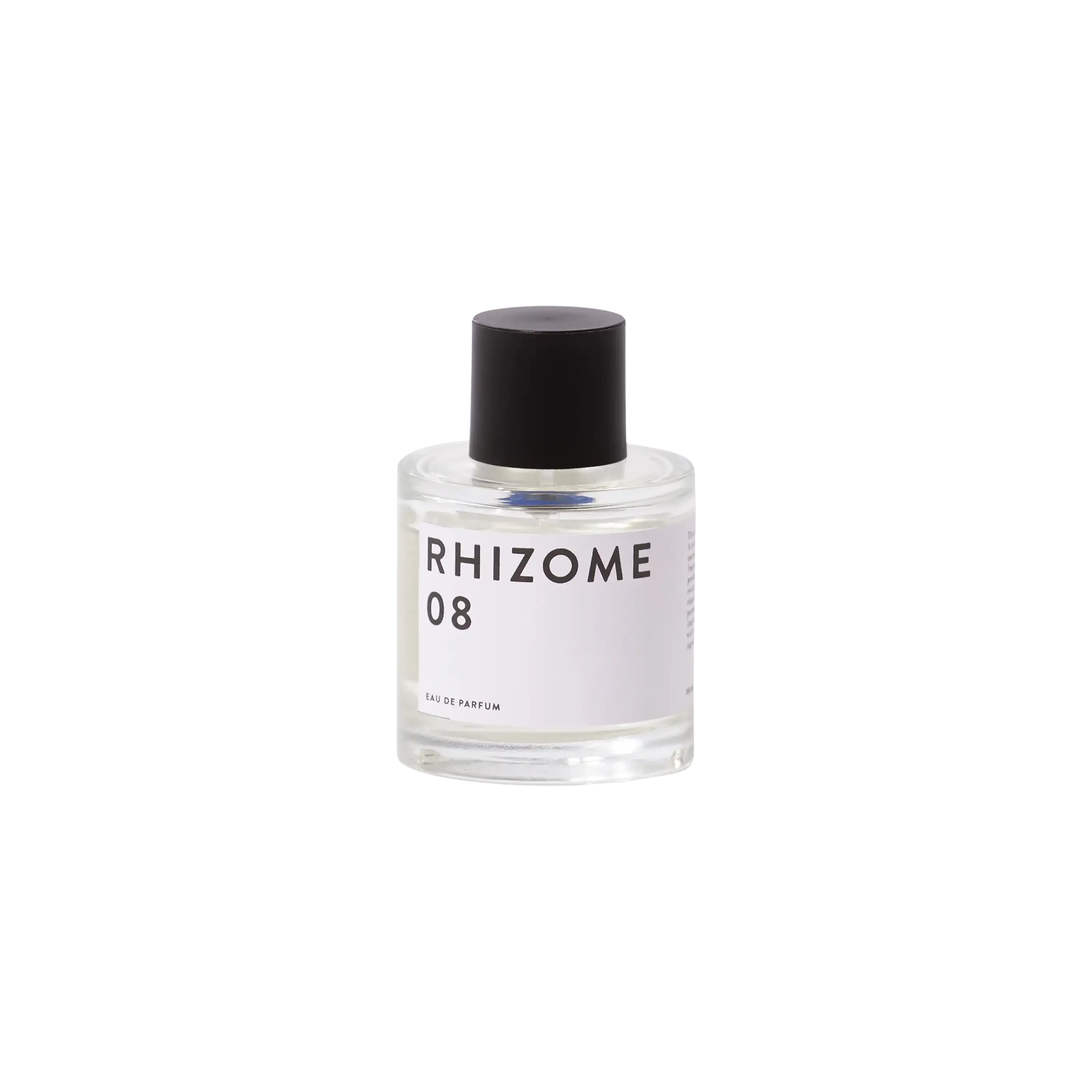 Rhizome 08 EDP